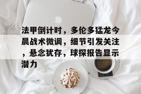 Kaiyun体育App下载,-关于法甲倒计时，多伦多猛龙今晨战术微调，细节引发关注，悬念犹存，球探报告显示潜力的信息